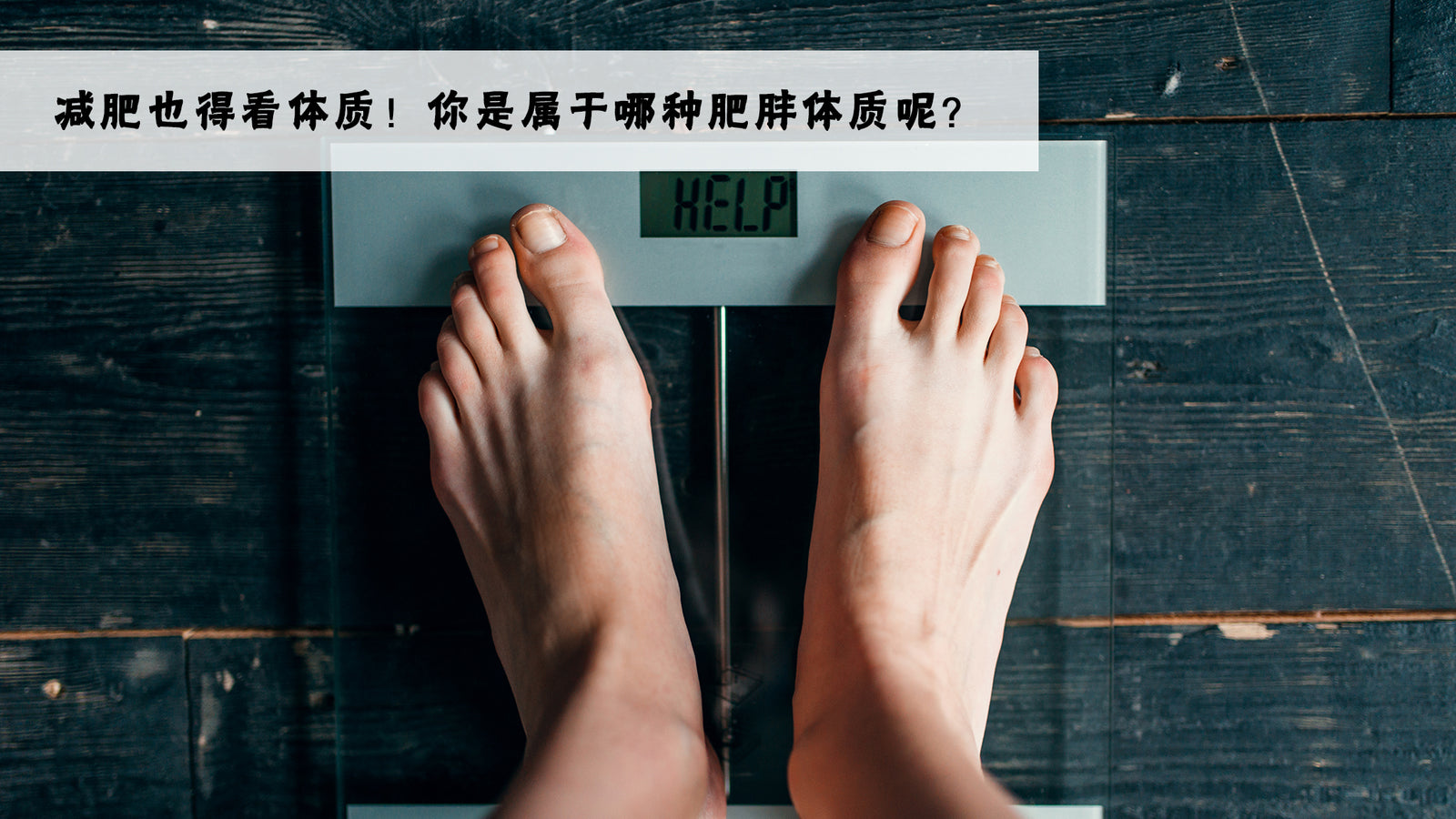 减肥也得看体质!你是属于哪种肥胖体质呢?