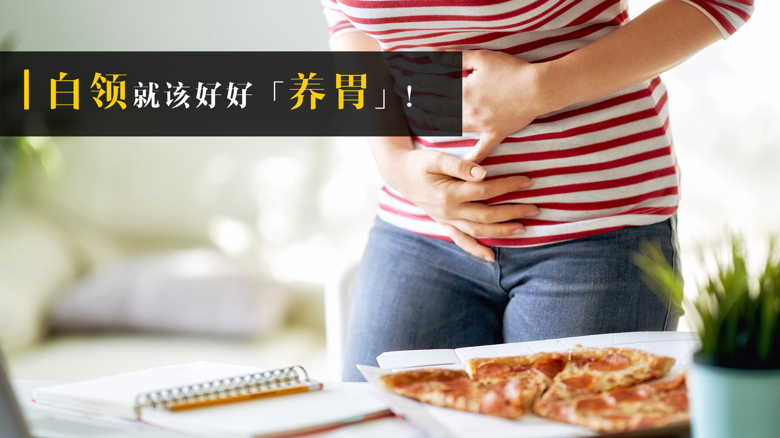 白领就该好好「养胃」