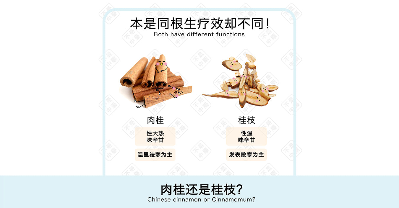 【养生食材】 桂枝与肉桂的区别