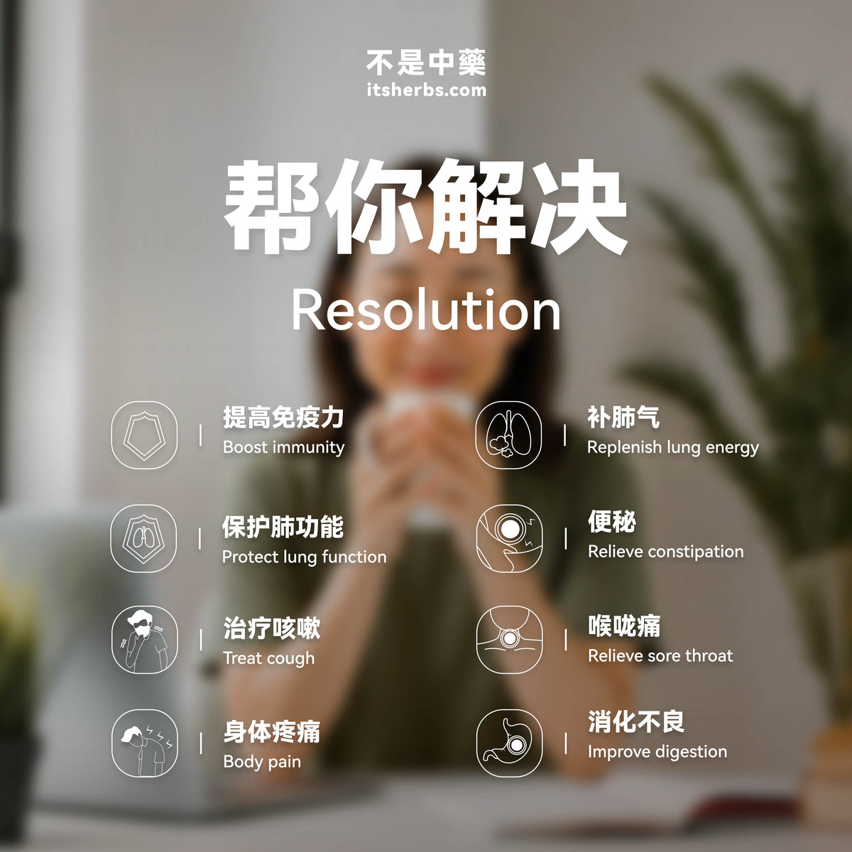 Healthy Lung Qi Pack