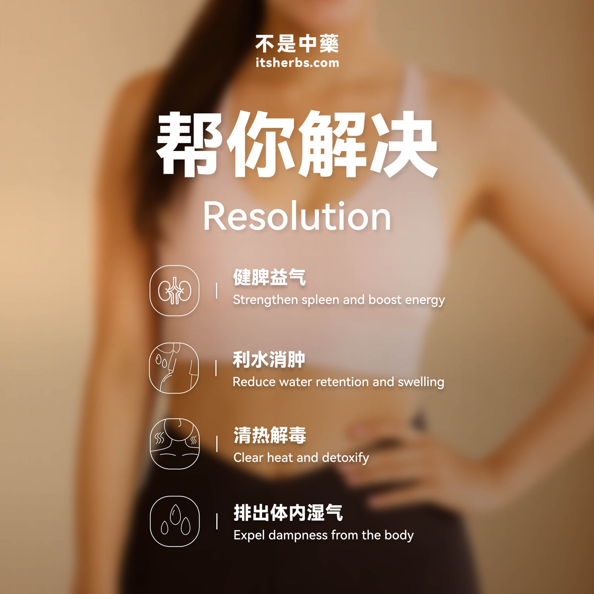 The Dampness Relief Pack