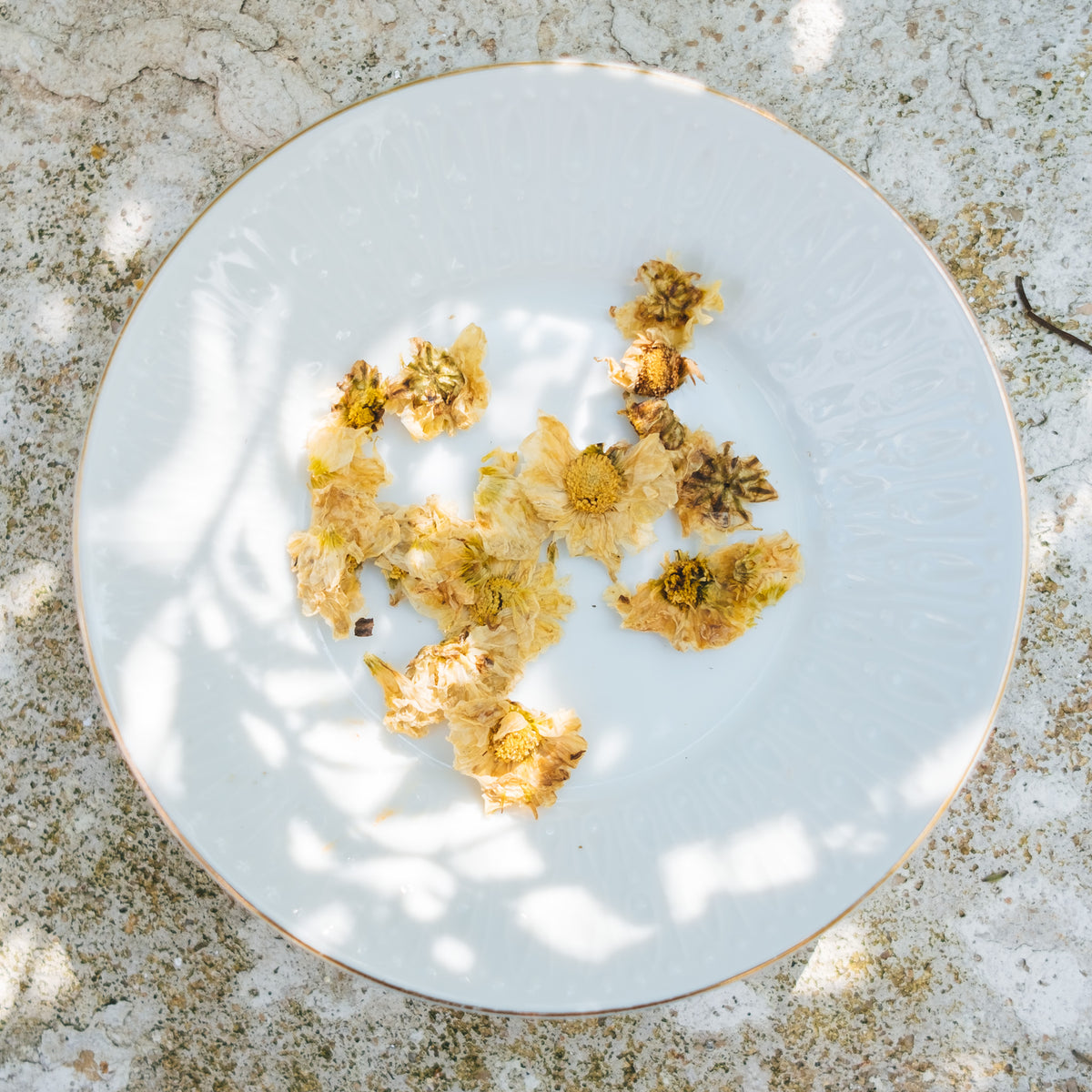 熬夜护眼茶疗 Stay Overnight Tea