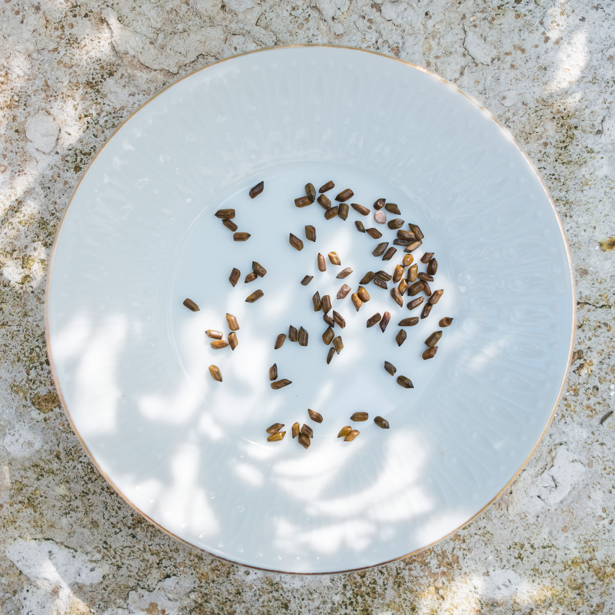 熬夜护眼茶疗 Stay Overnight Tea