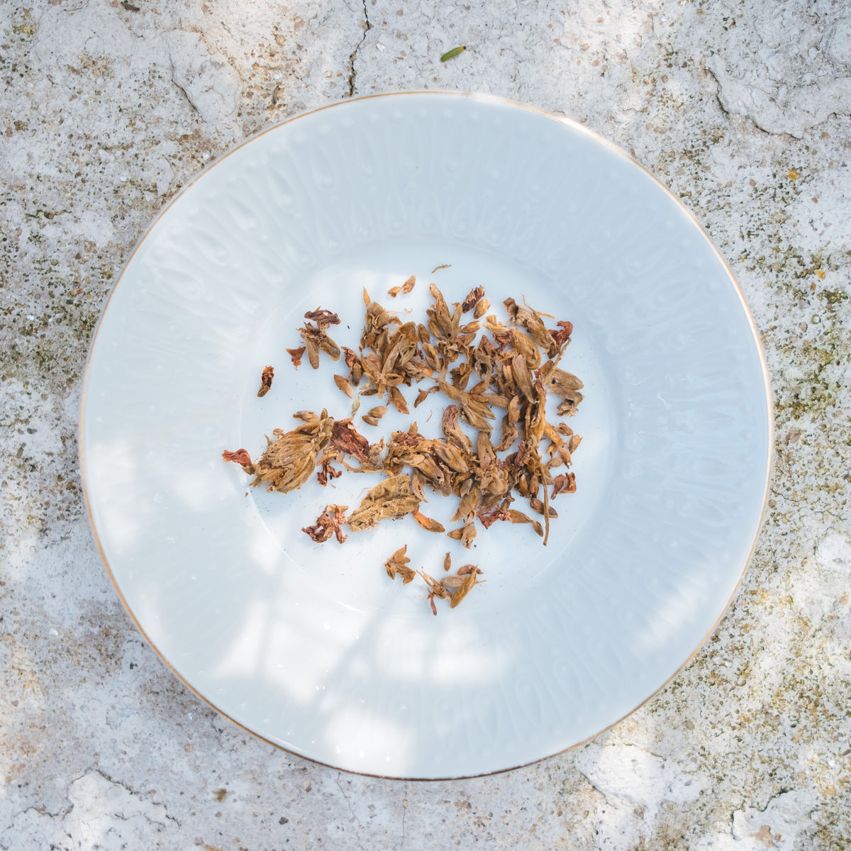 醒酒茶疗 I will not Mabuk Tea