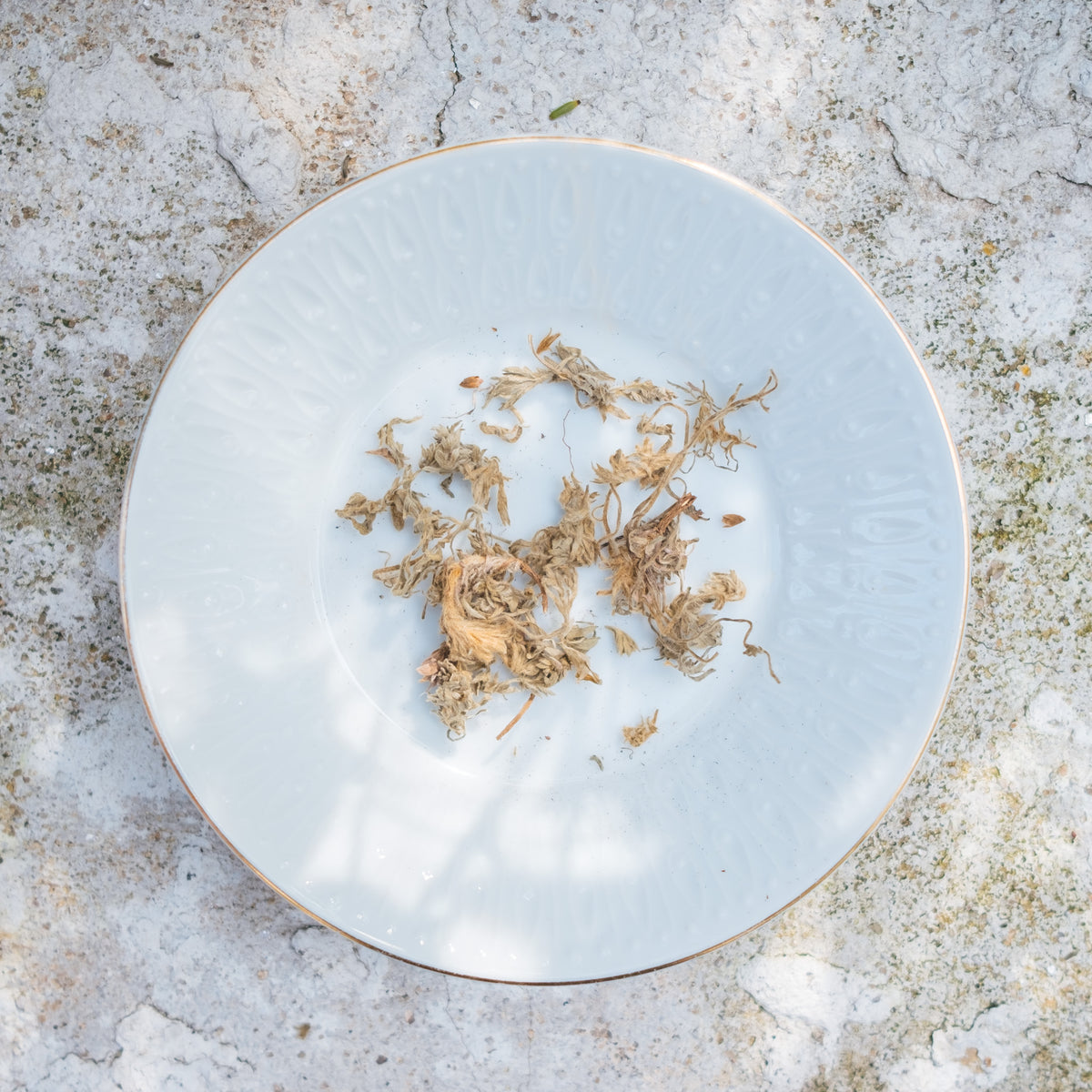 醒酒茶疗 I will not Mabuk Tea