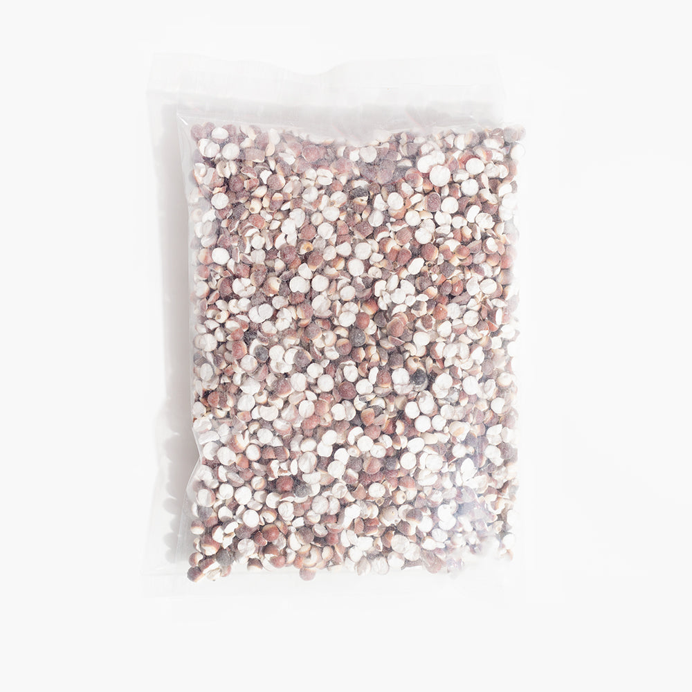 Gorgon Euryale Ferox