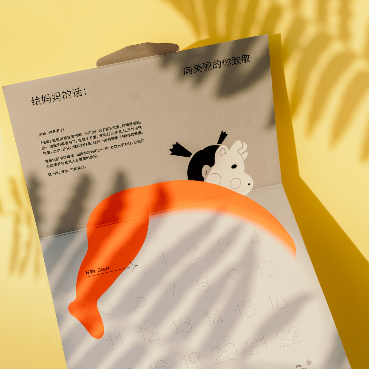 【不是坐月】黄金28天 | 1 对 1 客制化月子汤料配套