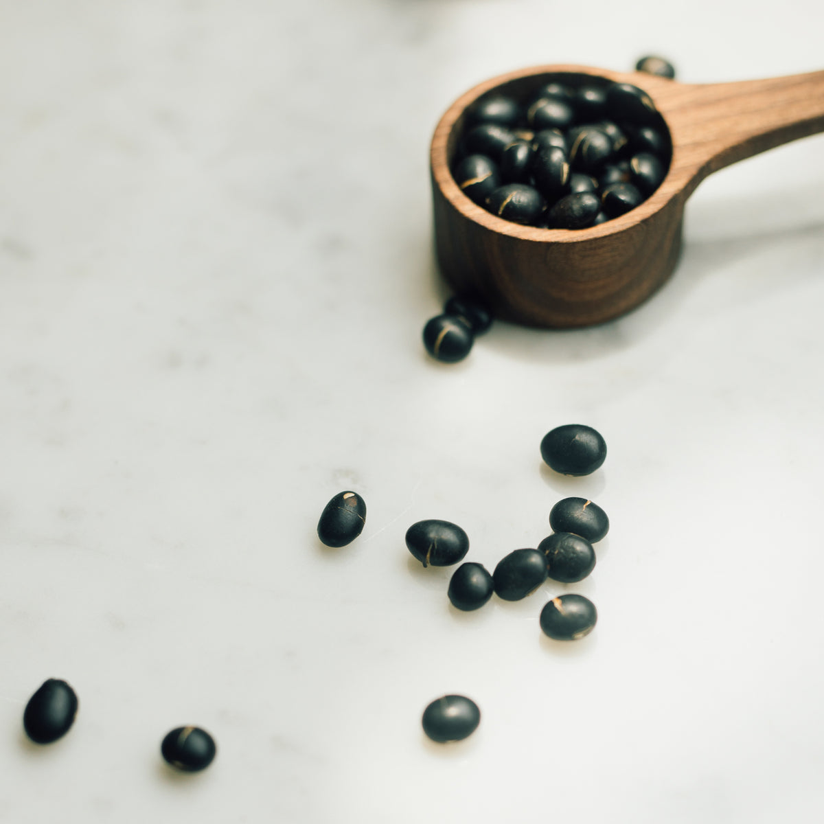 Roasted Black Bean Tea